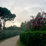 Brezza Marina